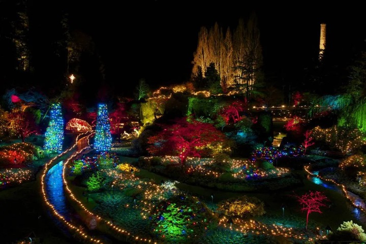 Victoria Christmas light tour @ Globalduniya 